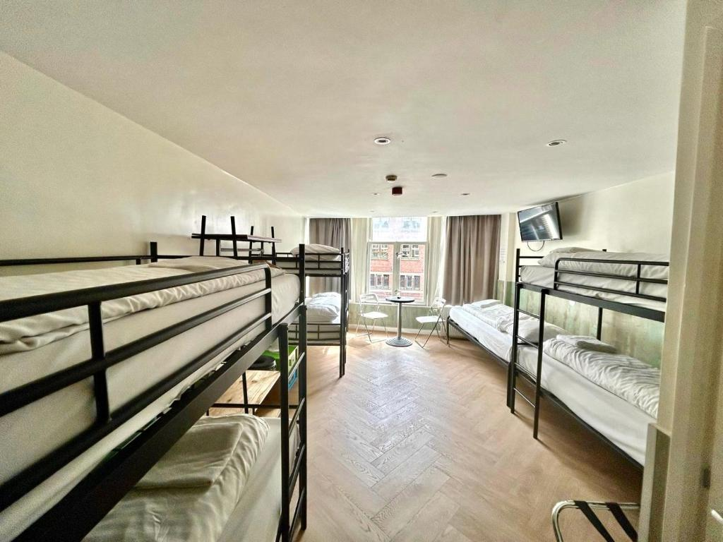 Bright hotel room with bunk beds